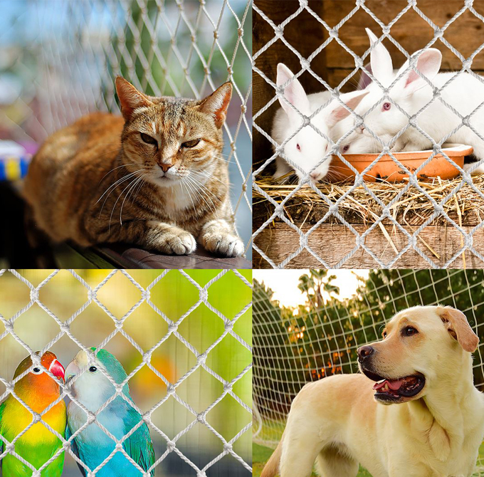 Pets nets